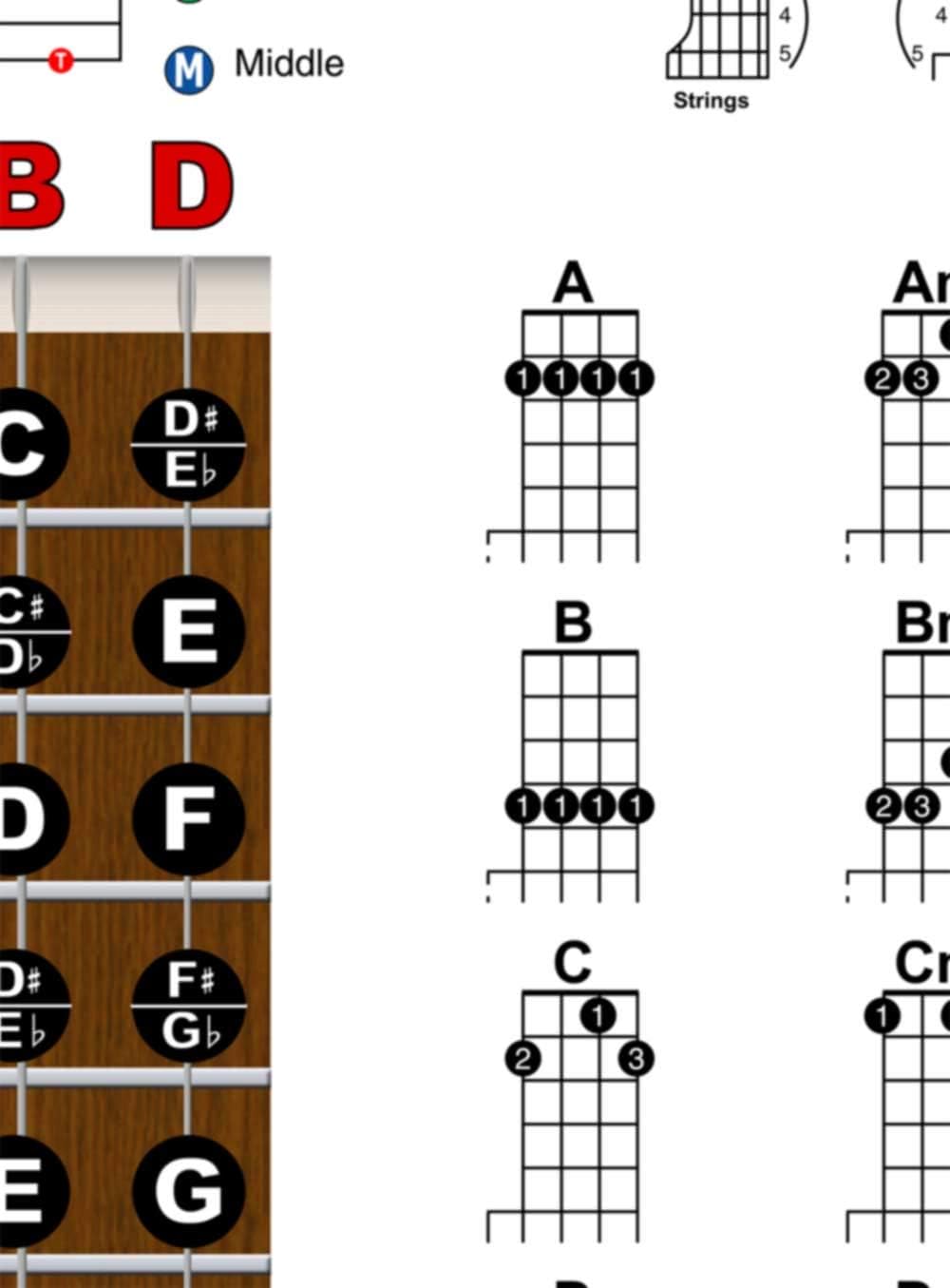 Banjo Chord Chart, Fretboard Notes & Right-Hand Rolls, Laminated 11x17 | Build confidence with chords, fretboard notes and right-hand rolls on one large laminated banjo practice reference.