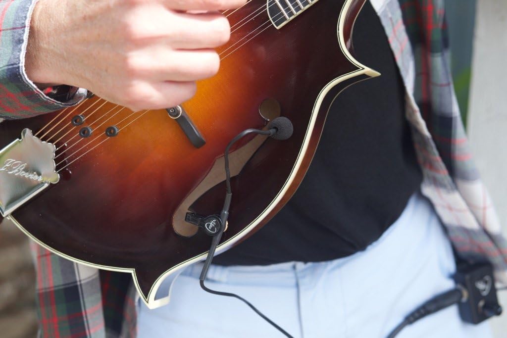 The Feather Mando-Cello Mandolin Pickup with Flexible Micro-Gooseneck by Myers Pickups