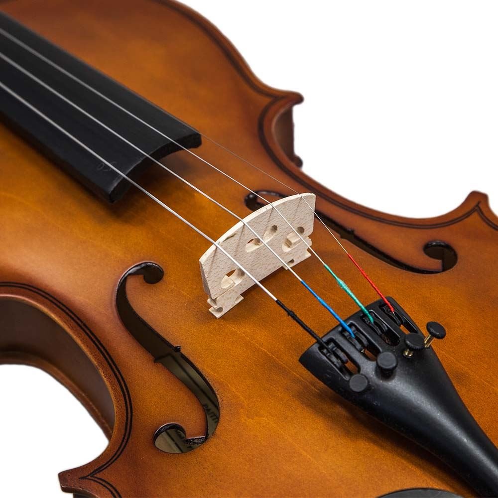Paititi 1/10 Size Artist-100 Student Violin Starter Kit with Brazilwood Bow Lightweight Case, Extra Strings and Rosin