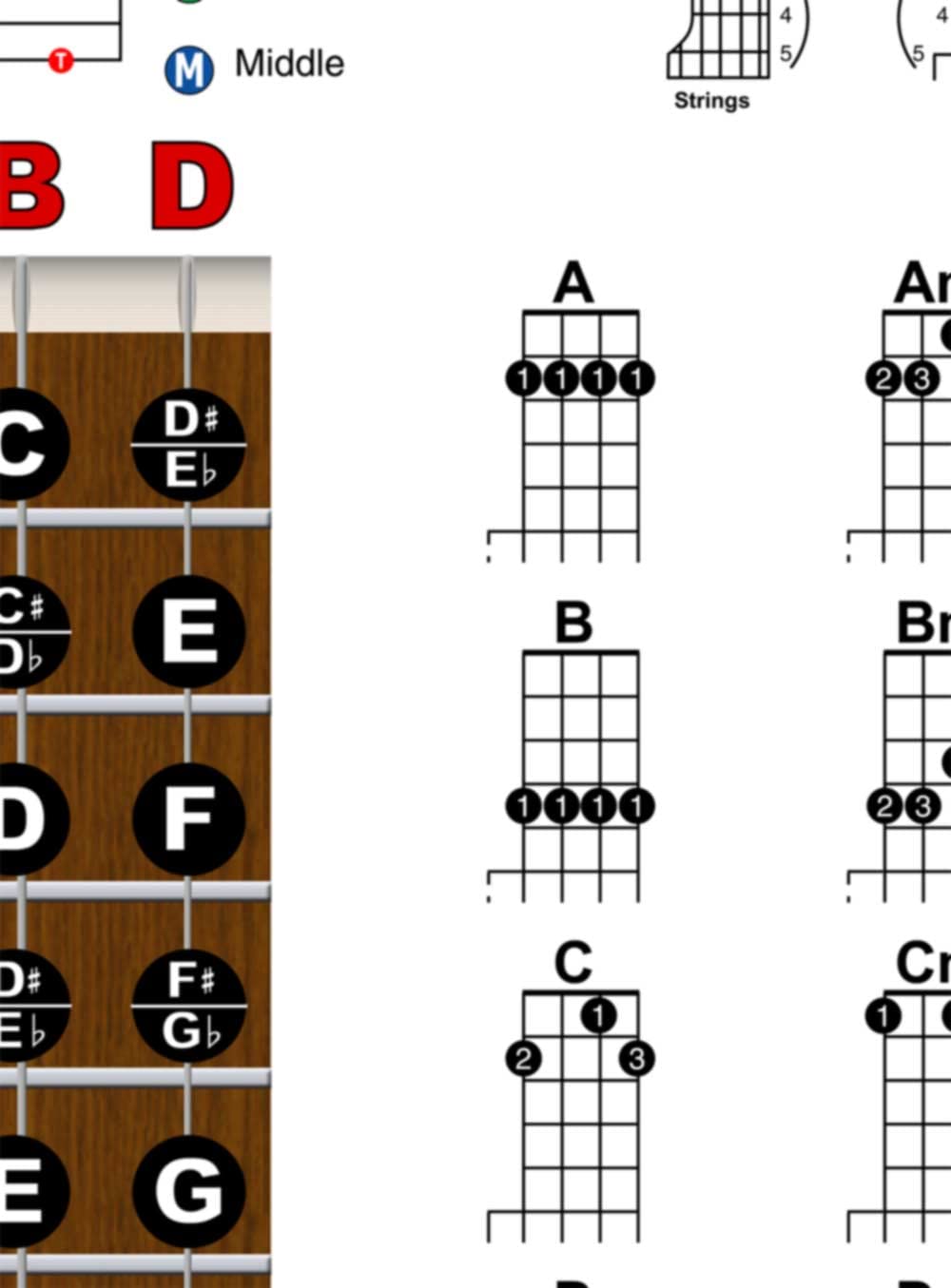 Banjo Chord Chart, Fretboard Notes & Right-Hand Rolls, Laminated 11x17 | Build confidence with chords, fretboard notes and right-hand rolls on one large laminated banjo practice reference.