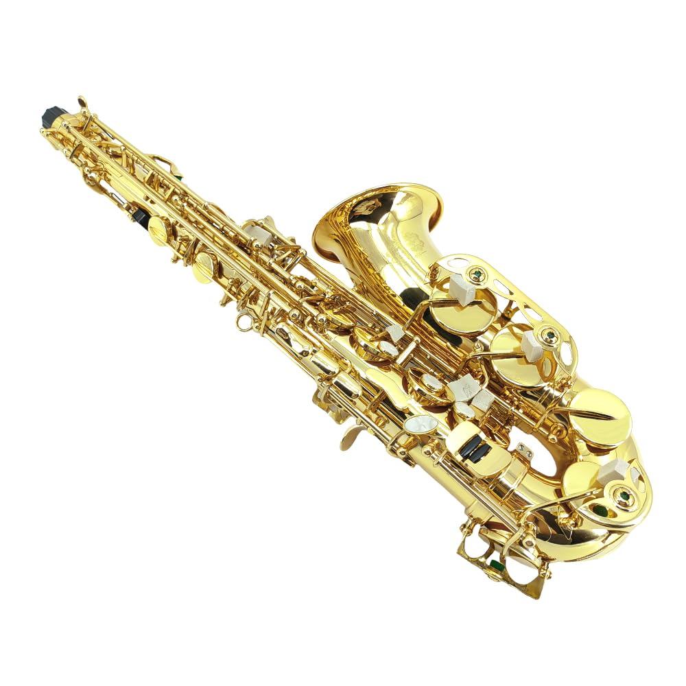 Alto Saxophone, Eb Flat Sax Complete Kit with Case & Accessories for Student, Adult & Beginner (Alto Saxophone Set with Mouthpiece, Reeds, Gloves, Cloth & Brush)-Golden