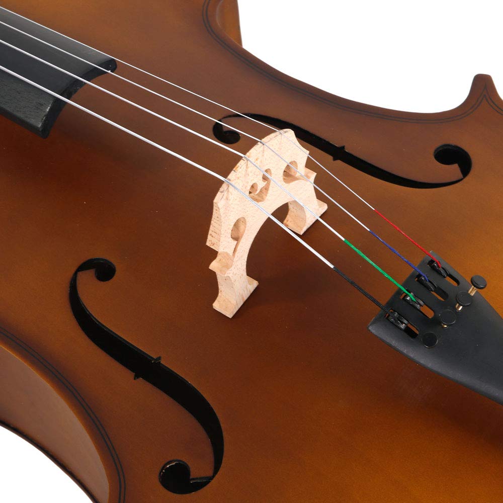 Vasitelan Full-Size Cello, Beginner Cello 4/4, Acoustic Cello Kit with Portable Bag, Bow, Bridge, Rosin, String Musical Instruments (Black)