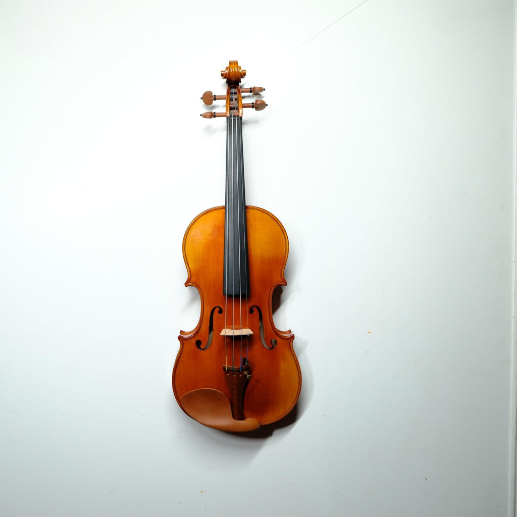 Master 4/4 Full-Size Violin | Hand-Varnished with 20+ Year Aged Italian Spruce & Bosnian Maple | Professional Orchestra Instrument for Professional soloists and session players (VIO1328)