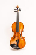 Maestro Old spruce Stradi Model 509 D Z Strad Violin with Powerful tone Antique Varnish and Dominant strings (7/8 - Size)