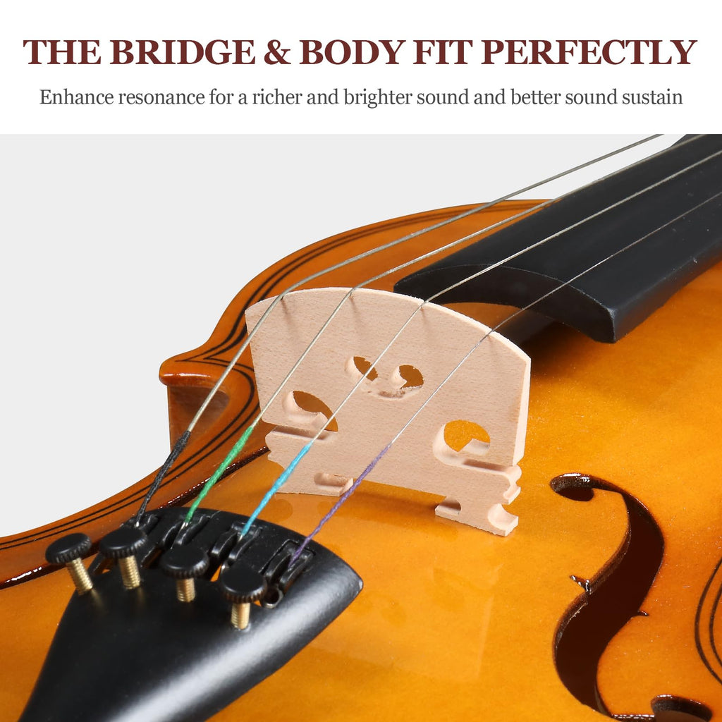 Ktaxon Violin for Beginners Students, Acoustic Violins 4/4, Full Size Fiddle Kit with Case, Bow, Rosin, Adult Teens Learners Age 11+ (Natural)