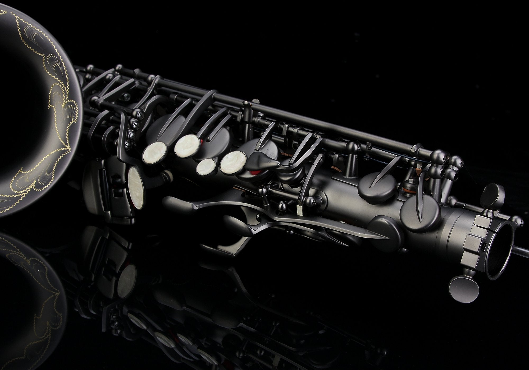 Glory Black Laquer E Flat Alto Saxophone with 11reeds,8 Pads cushions,case,carekit