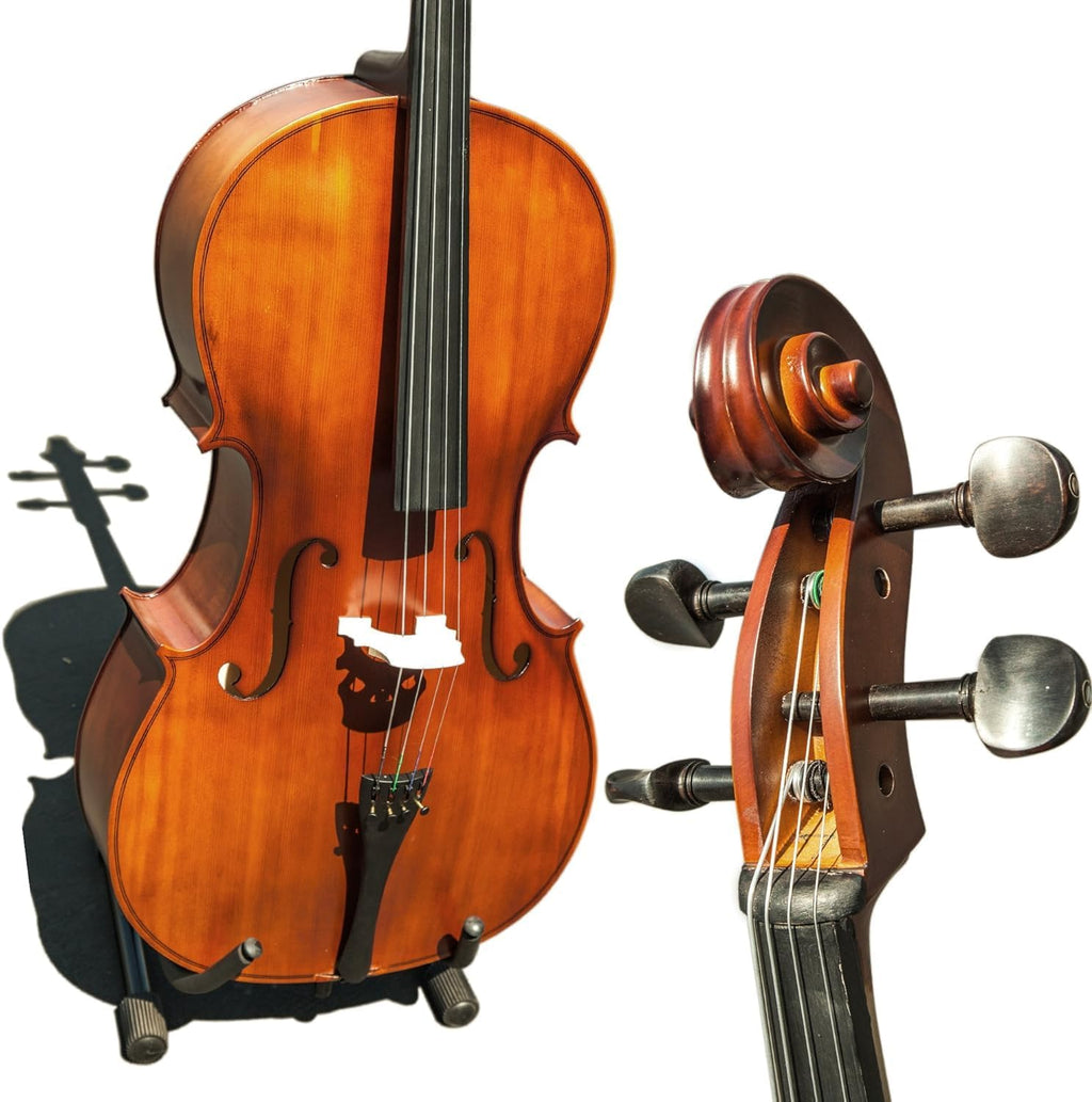 Paititi PTTCE3005PE-44 Acoustic Cello