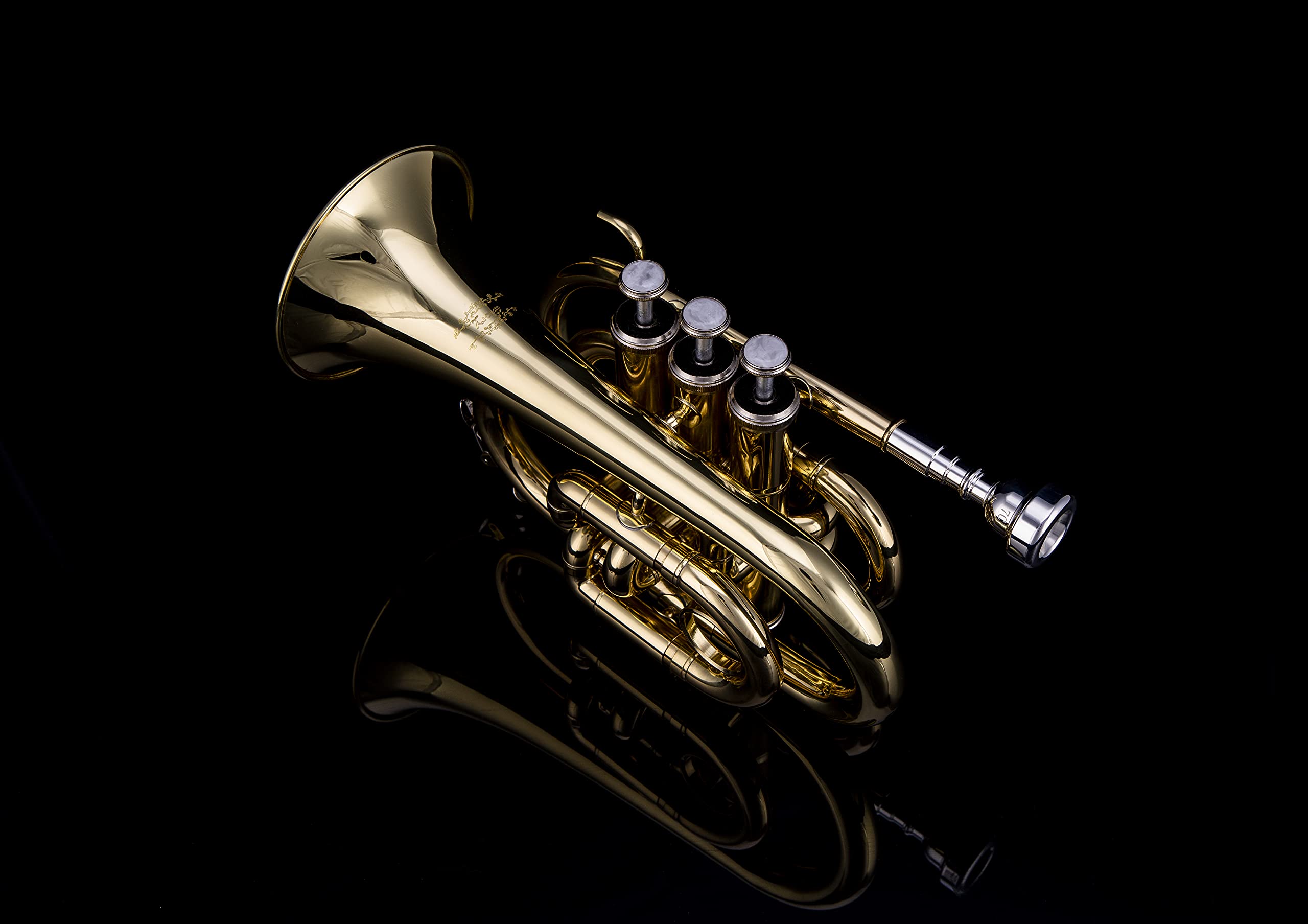 Glory Bb Pocket Trumpet with Case,Cleaning Cloth, Gloves, Black