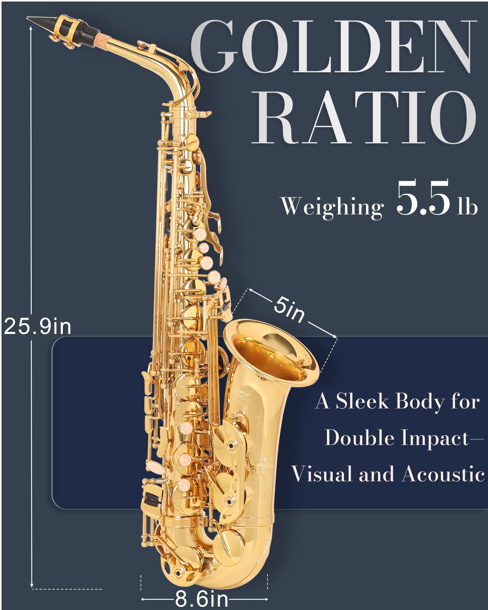 AKLOT Handcrafted E-Flat Alto Saxophone: Matte Silver Brass Body with Warm, Rich Tone, Secure Air Seal, Smooth 23-Key System, Includes Reeds, Premium Leather Case and Saxophone Cleaning Kit (CH-FM)