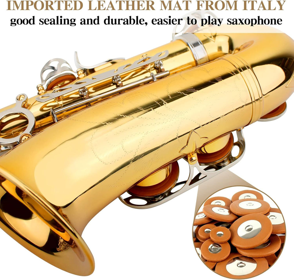 SLADE Alto Saxophone Eb Alto Saxophone for Beginner Students, Gold & Silver, WSS948