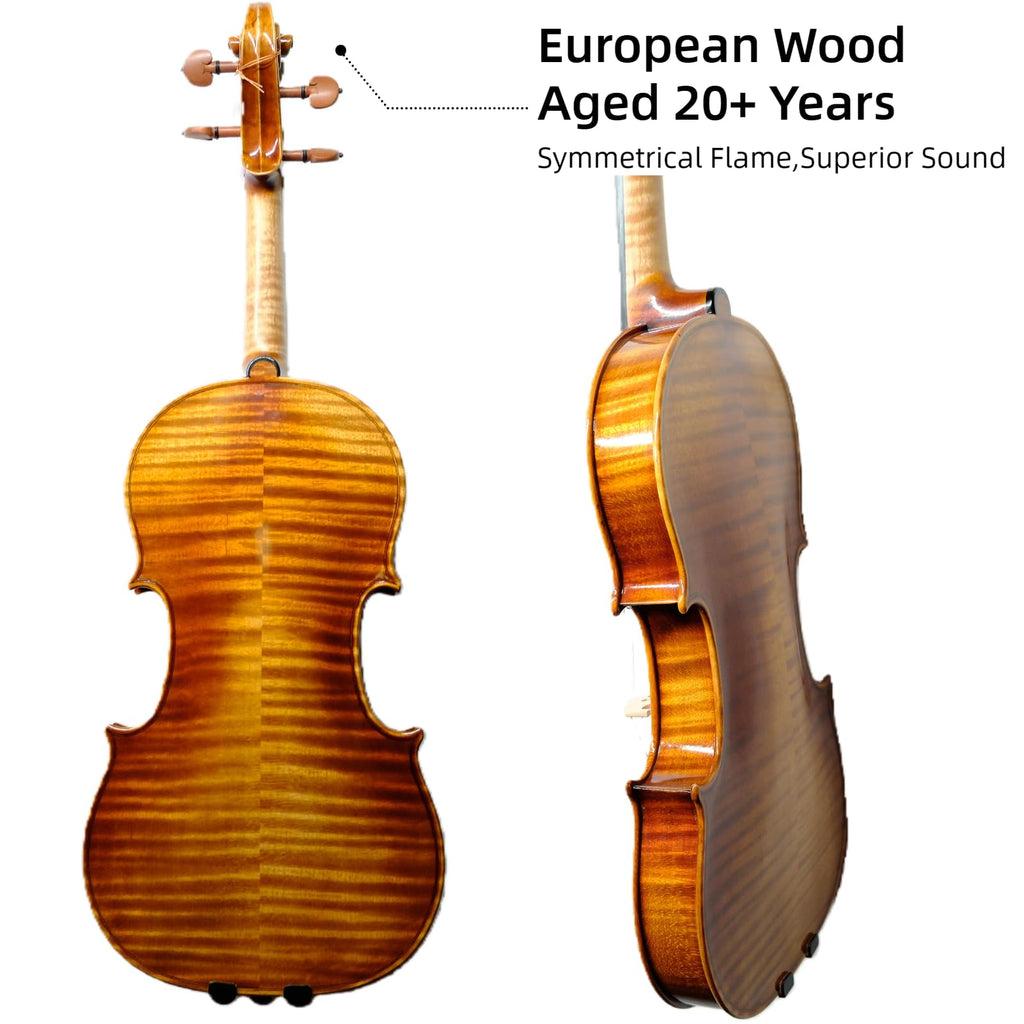 Master 4/4 Full-Size Violin | Hand-Varnished with 20+ Year Aged Italian Spruce & Bosnian Maple | Professional Orchestra Instrument for Professional soloists and session players (VIO1328)