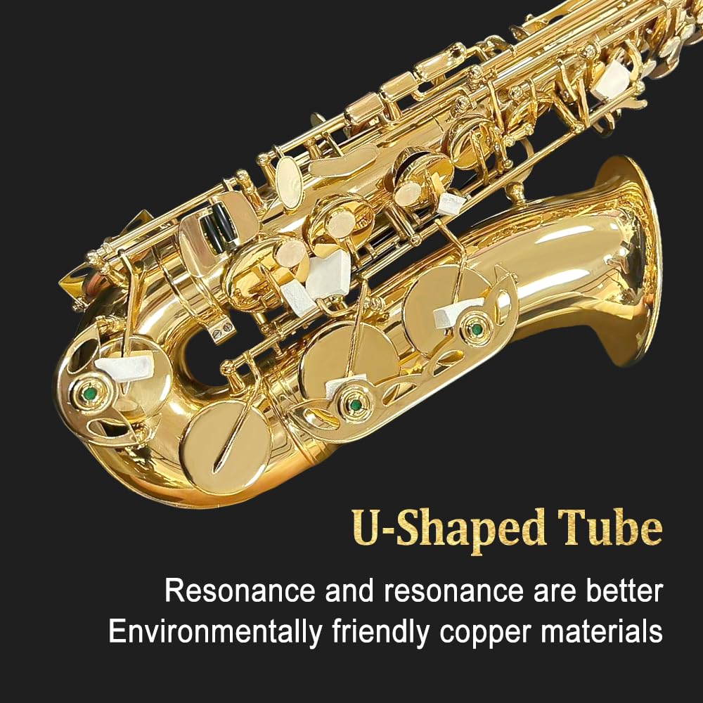 Beginner Alto Saxophone, E Flat - Complete Starter Kit with Case & 10 Reeds, for Adults & Students, Easy to Play for School Band & Practice(Gold)
