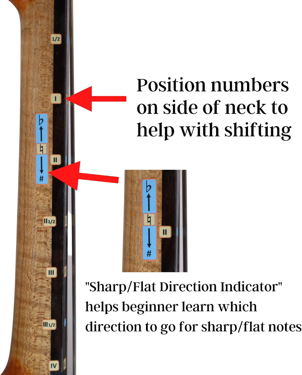 Fantastic Finger Guide for Cellos - Music Accessories for String Instruments, Fingerboard and Fretboard Stickers for Learning All Notes, Learn to Play Cello, 1/2 Size