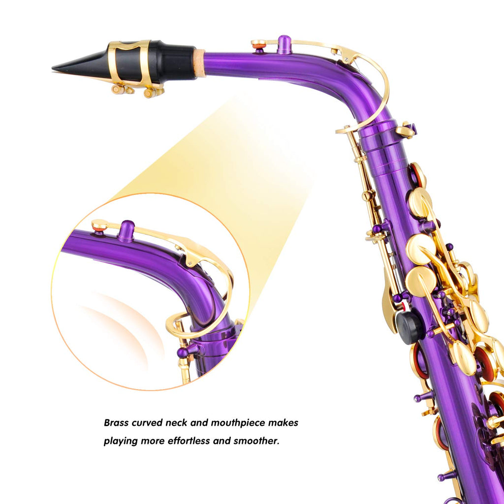 EASTROCK Black/Golden Alto Saxophone E Flat Sax Full Kit for Students Beginner with Carrying Case,Mouthpiece,Mouthpiece Cushion Pads,Cleaning Cloth&Cleaning Rod,White Gloves,Neck Strap