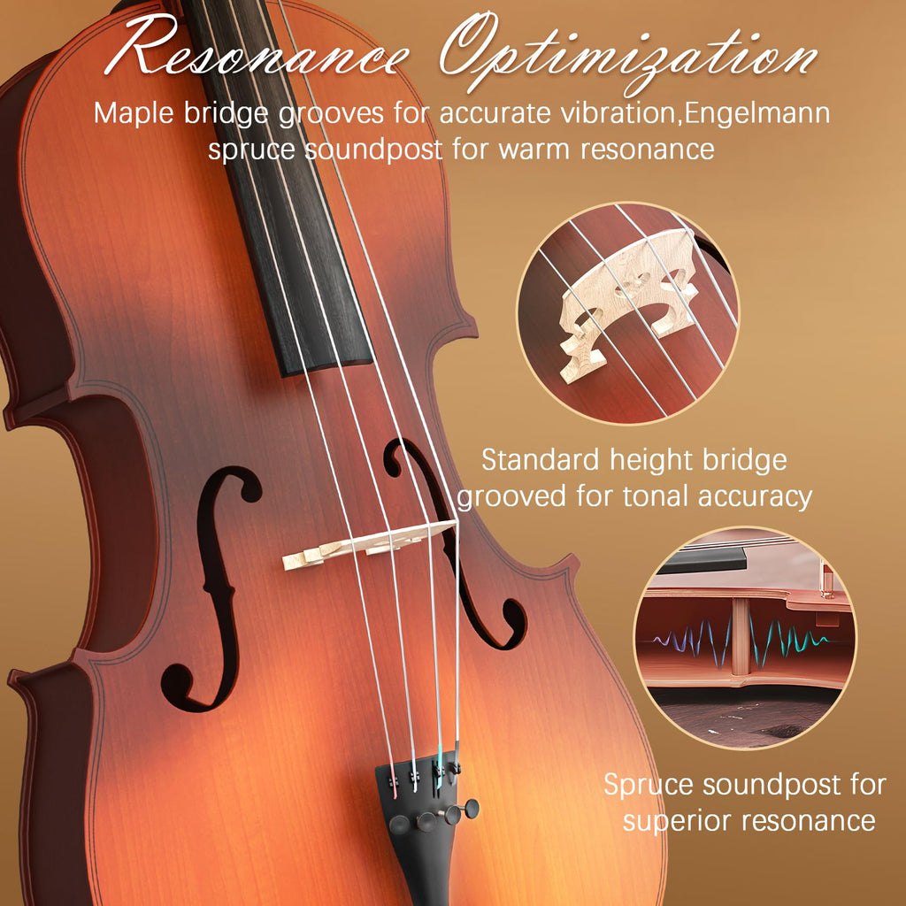 Cello 4/4 Kit, Full Size Cello for Adults, Students, Beginners, Complete Acoustic Cello Instrument Set with Portable Bag, Bow, Rosin, Black