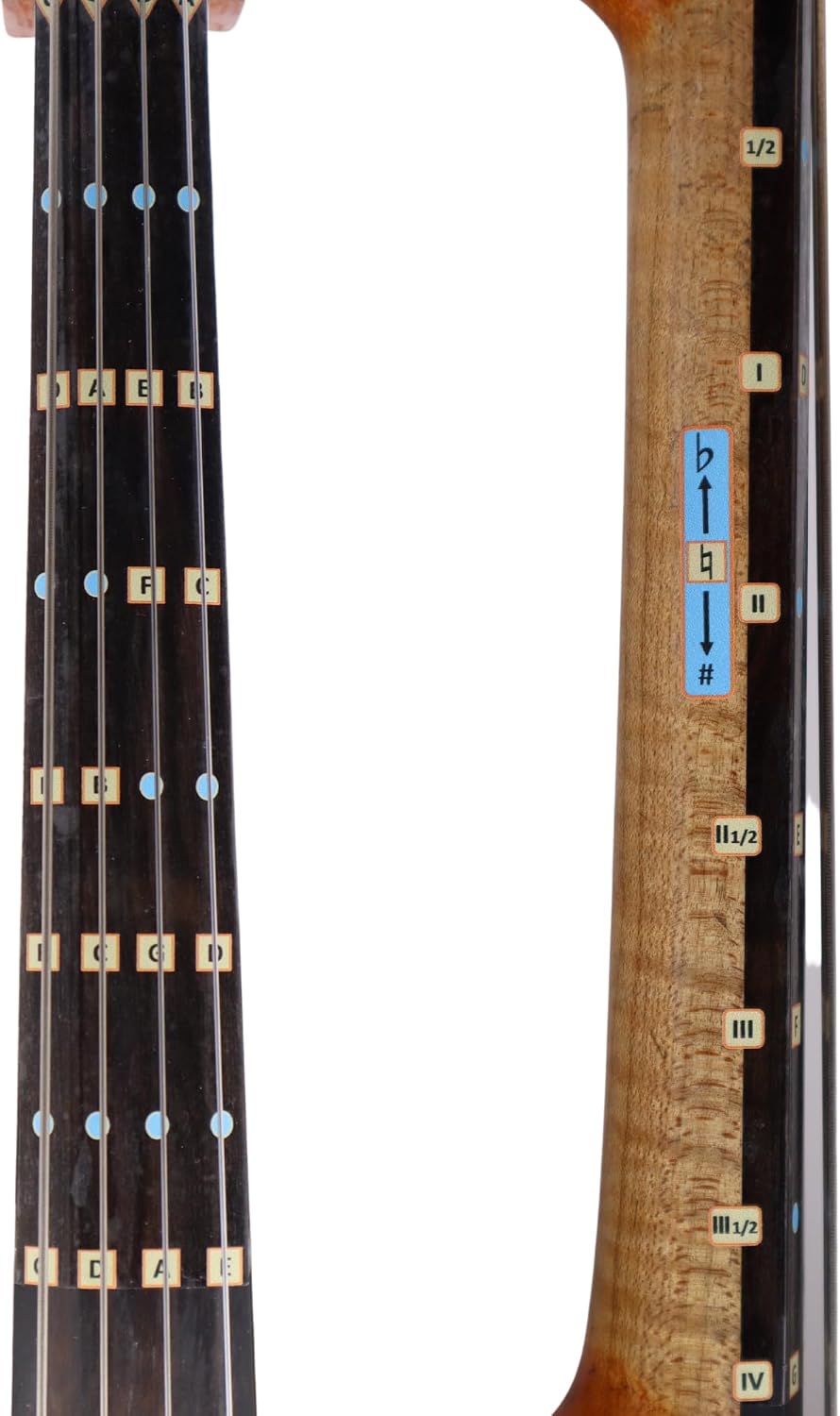 Fantastic Finger Guide for Cellos - Music Accessories for String Instruments, Fingerboard and Fretboard Stickers for Learning All Notes, Learn to Play Cello, 1/2 Size