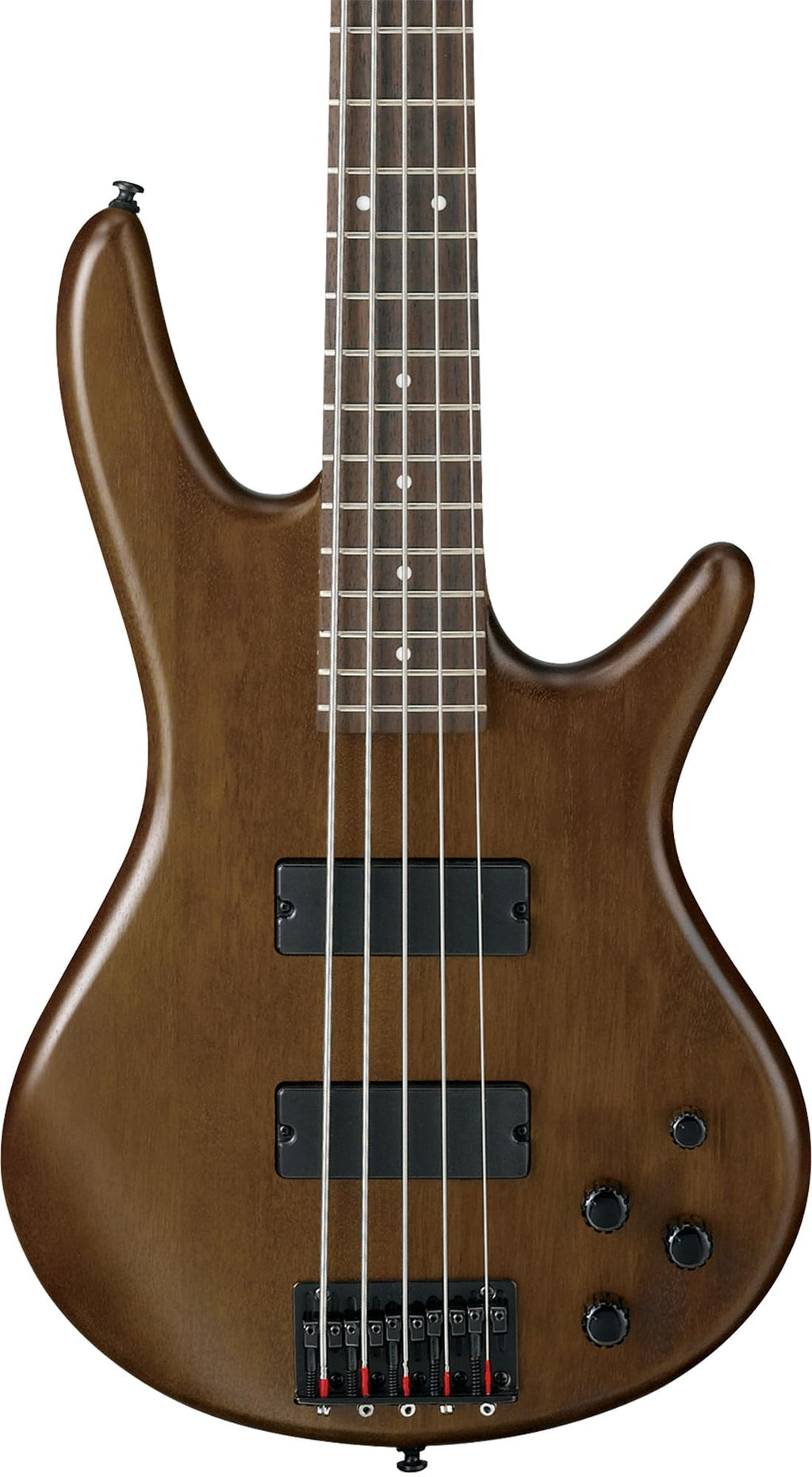 Ibanez GSR205B SR Gio 5-String Bass Guitar - Walnut Flat Bundle with Gig Bag, Tuner, Strap, Cable, Austin Bazaar Instructional DVD, and Polishing Cloth