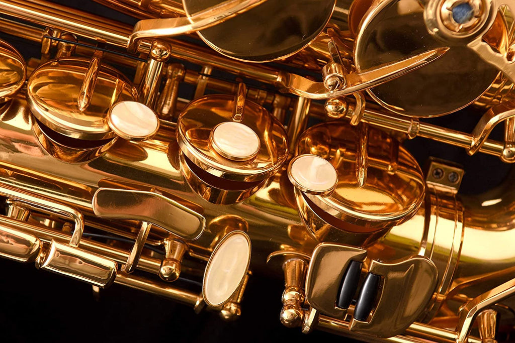 Saxophone Herche Superior Alto Saxophone X3 | Professional Instruments for All Levels | High F# Key | Educator Approved & Service Plan