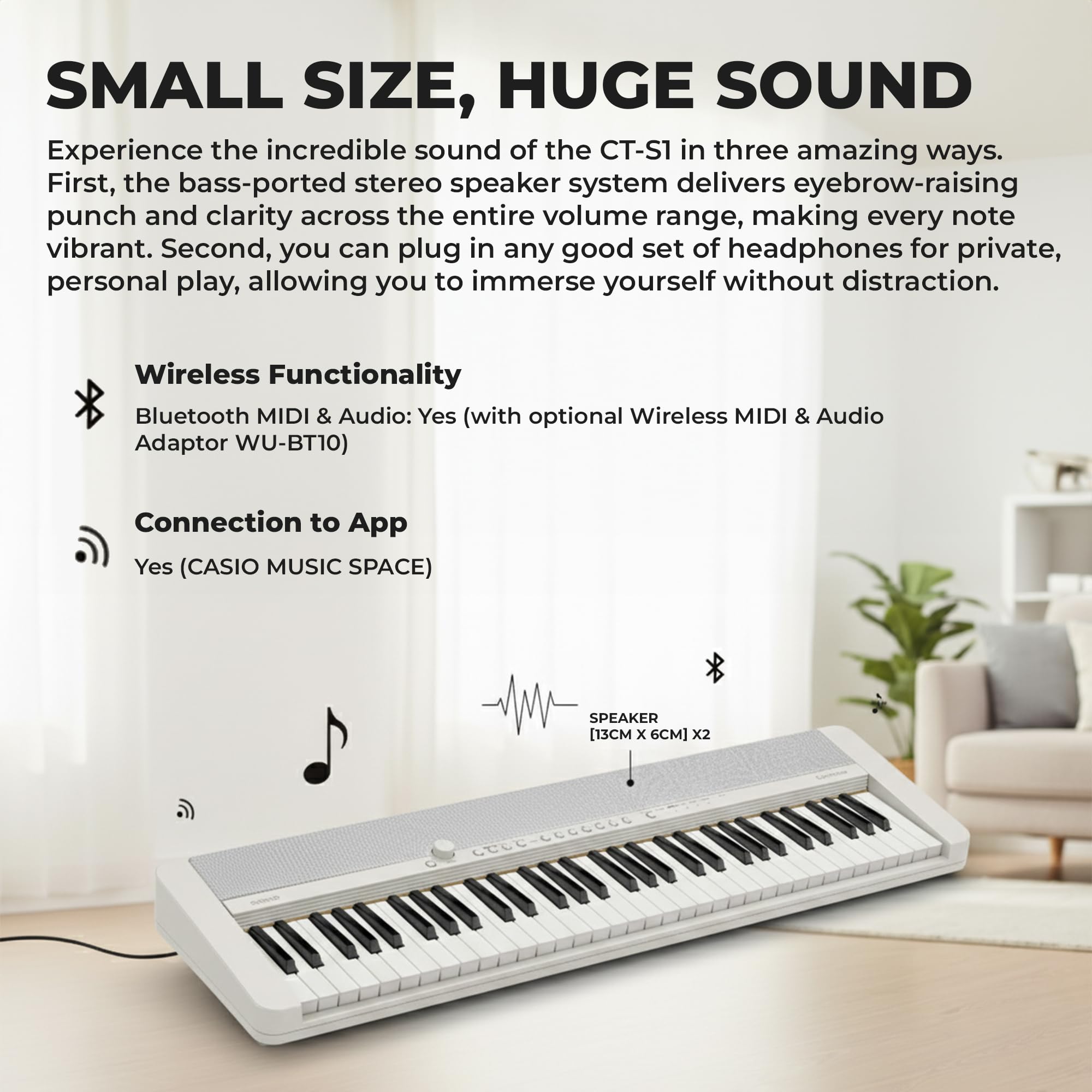 Casio CT-S1 Casiotone 61-Key Portable Keyboard - Black Bundle with Adjustable Stand, Bench, Headphones, Sustain Pedal, Instructional Book, Instructional DVD, and Austin Bazaar Polishing Cloth