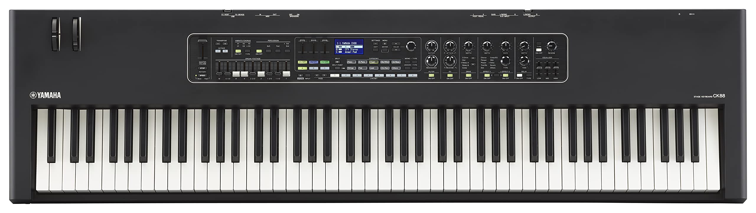Yamaha CK Series 88-Key Stage Keyboard with Built-In Speakers, Black (CK88)