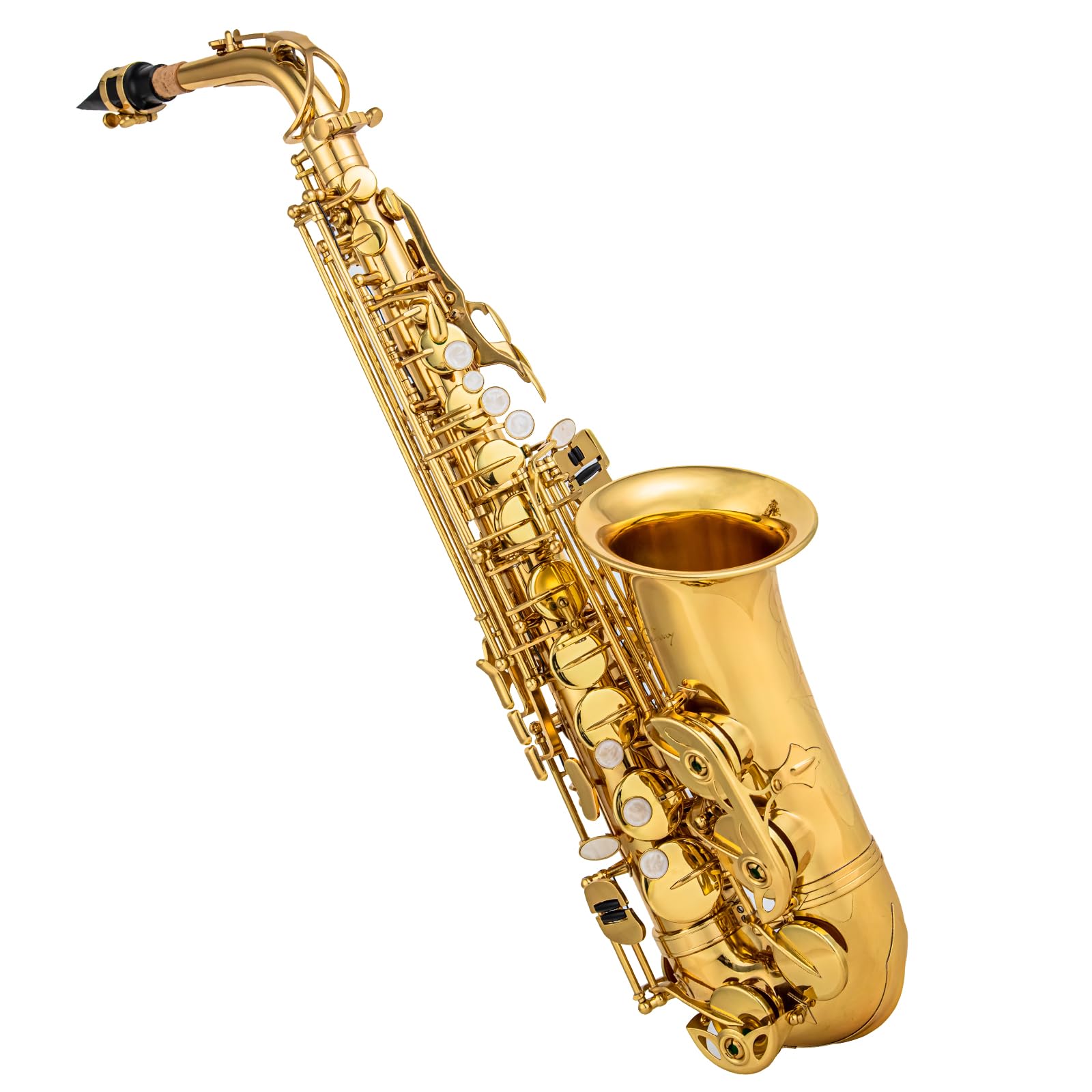 Alto Saxophone Eb beginner Saxophone includes brush canvas suitcase glove whistle piece cork plaster wipe cloth neck strap and other accessories (Gold)
