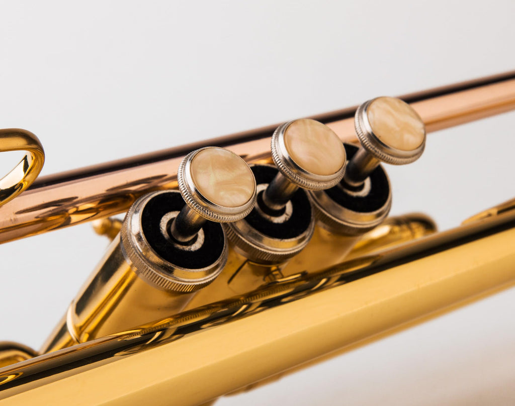 Glory Bb Trumpet - Trumpets for Beginner or Advanced Student with Case, pair of gloves-Gold