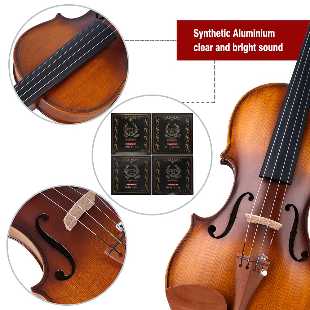 Rhythm Violin Set for Beginners,Acoustic Violins Starter Kit Package for Student,Beginners Fiddle with Hard Case, Rosin, Shoulder Rest, Bow, and Extra Strings (NATURAL, Full)