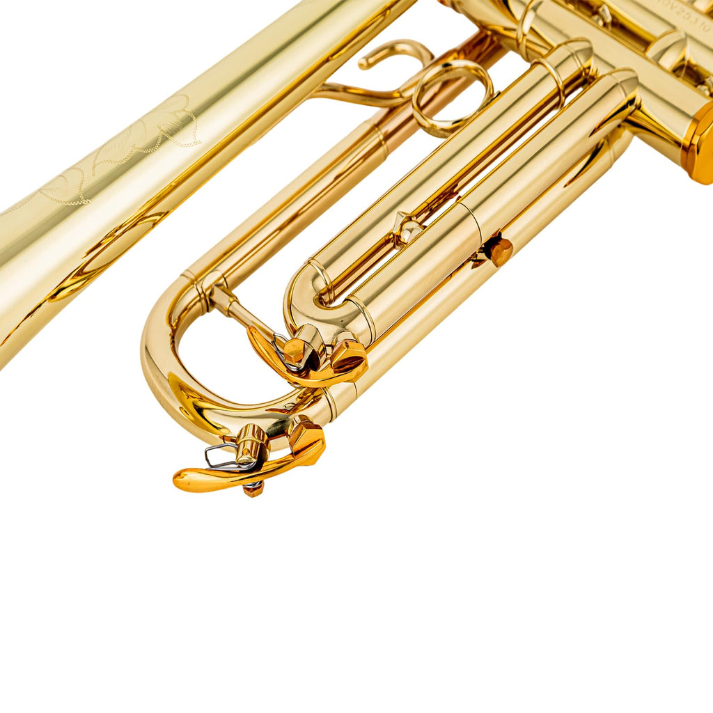 Bb trumpets red gold brass leadpipe mouthpipe advanced student professional trumpet Musical Instruments For Beginner Adults (710 gold brass)