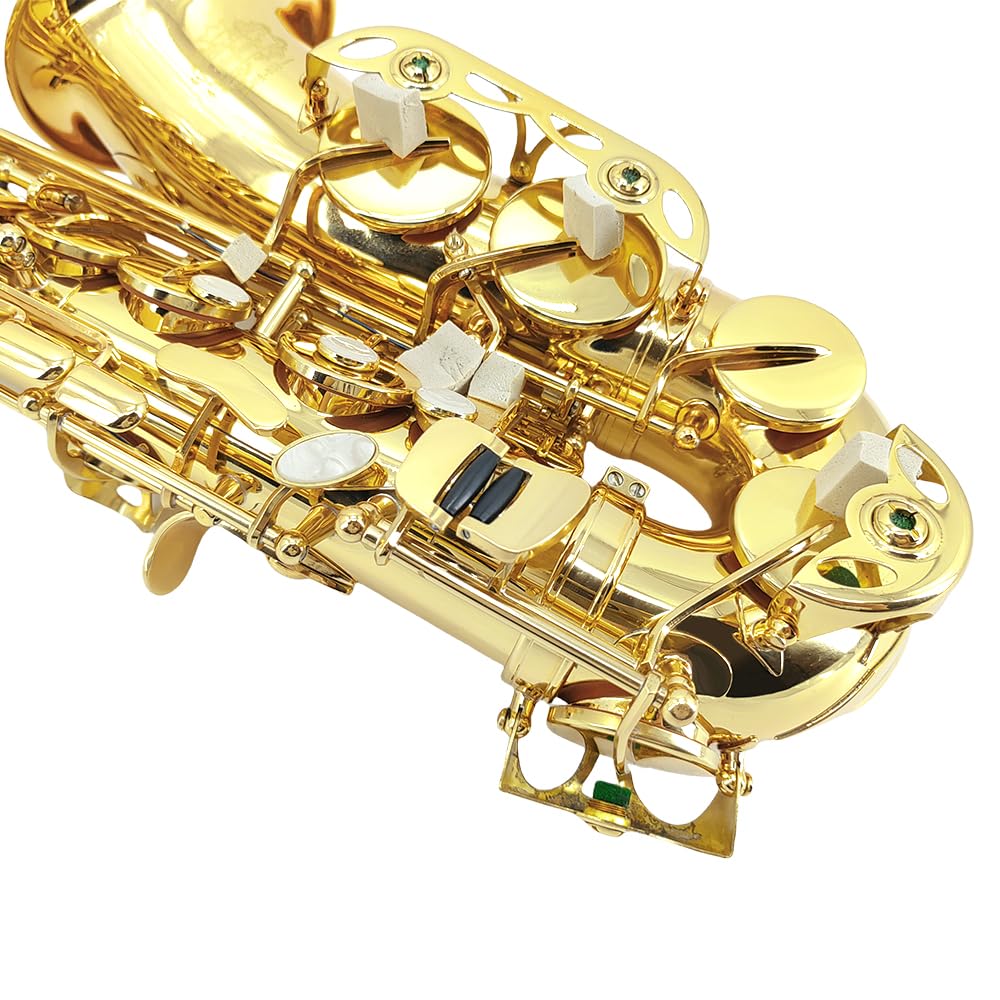 Alto Saxophone, Eb Flat Sax Complete Kit with Case & Accessories for Student, Adult & Beginner (Alto Saxophone Set with Mouthpiece, Reeds, Gloves, Cloth & Brush)-Golden
