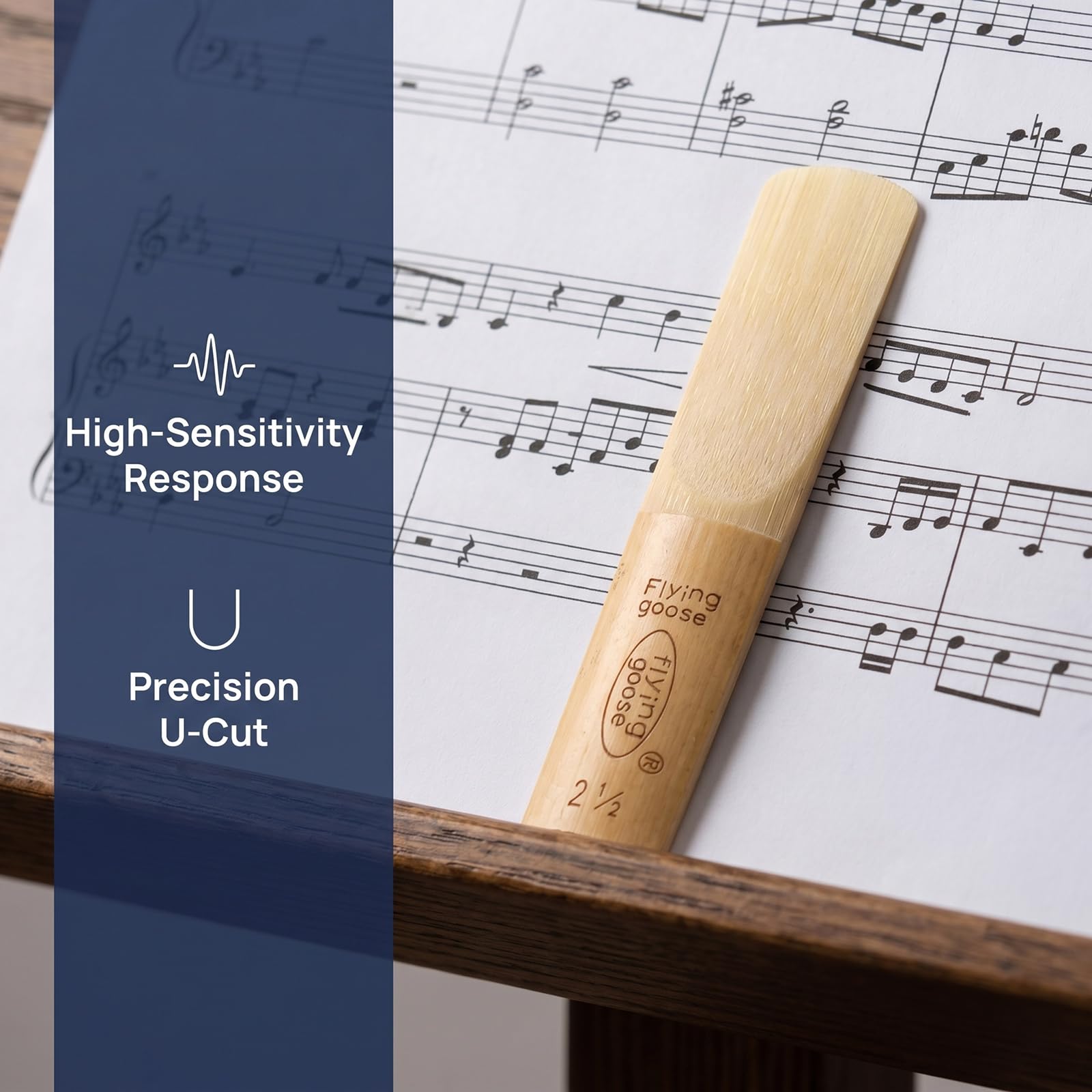 Alto Saxophone Reeds Strength 2.5, 10-Pack - Professional Quality Cane for Students & Beginners, Consistent Sound & Easy to Play, Includes Individual Case (Compatible with Alto Sax)