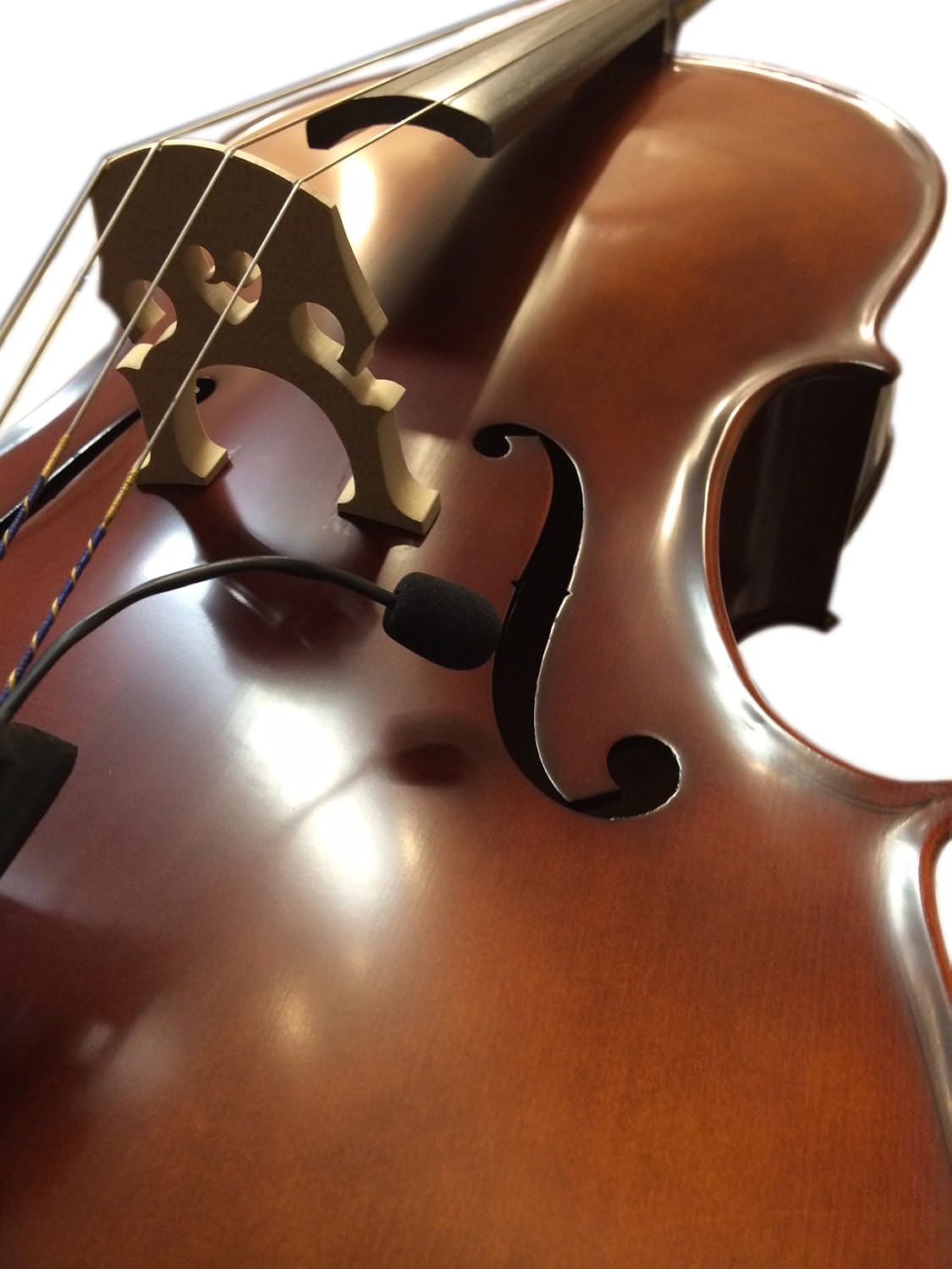 The Feather Cello Pickup with Flexible Micro-Gooseneck by Myers Pickups