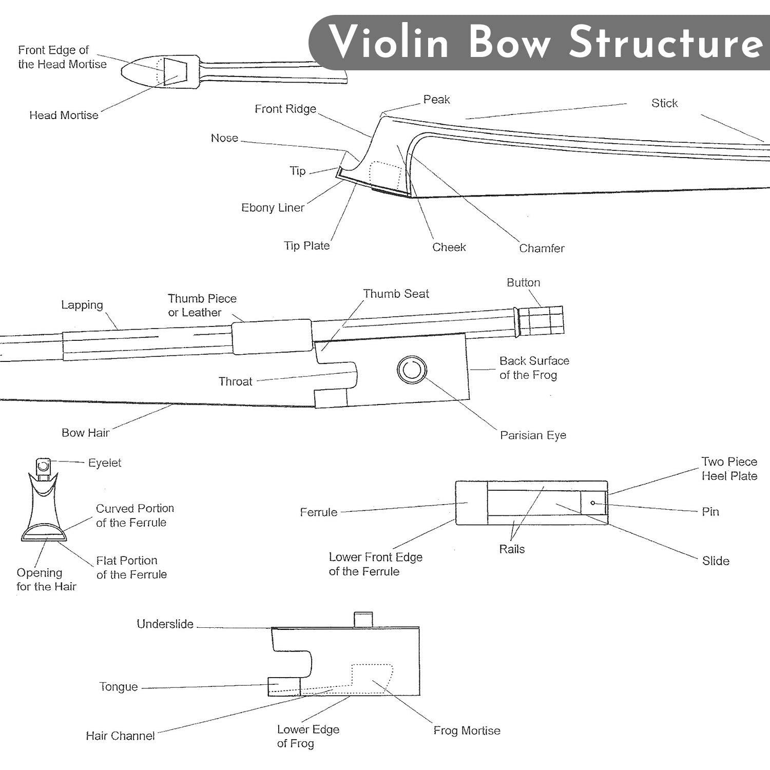 Viotti Carbon Fiber Violin Bow, Hand Crafted by Professional Violin & Bow Makers, Strong, Stiff & Well Balanced, Made with Mongolian Horse Hair, For Violinists & Fiddlers of All Skill Levels