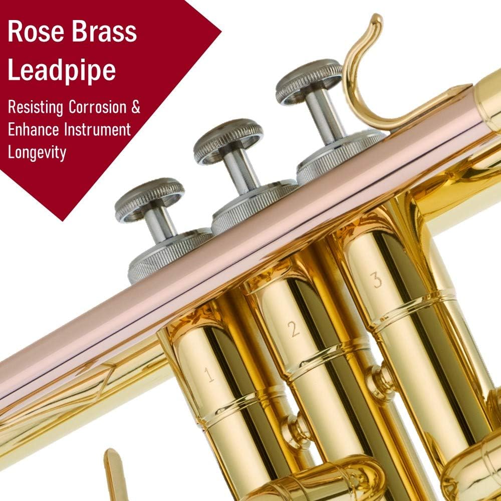 Libretto Gold Lacquer Bb Trumpet Set, Rose Brass Leadpipe | Standard for Beginner & Intermediate Students, Stainless Valve, 7C Mouthpiece, Durable Case, Portable Stand & Maintenance Kit
