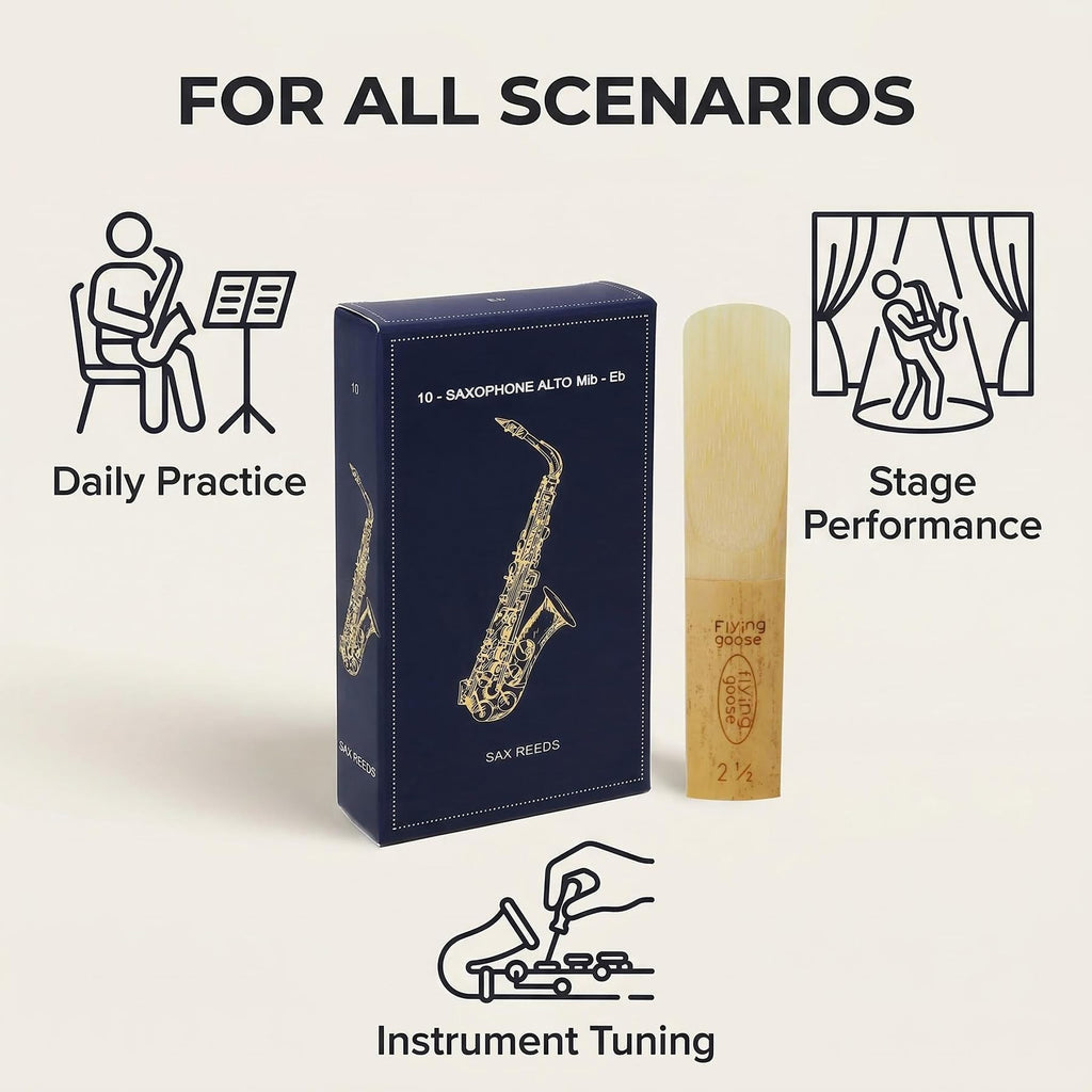 Alto Saxophone Reeds Strength 2.5, 10-Pack - Professional Quality Cane for Students & Beginners, Consistent Sound & Easy to Play, Includes Individual Case (Compatible with Alto Sax)