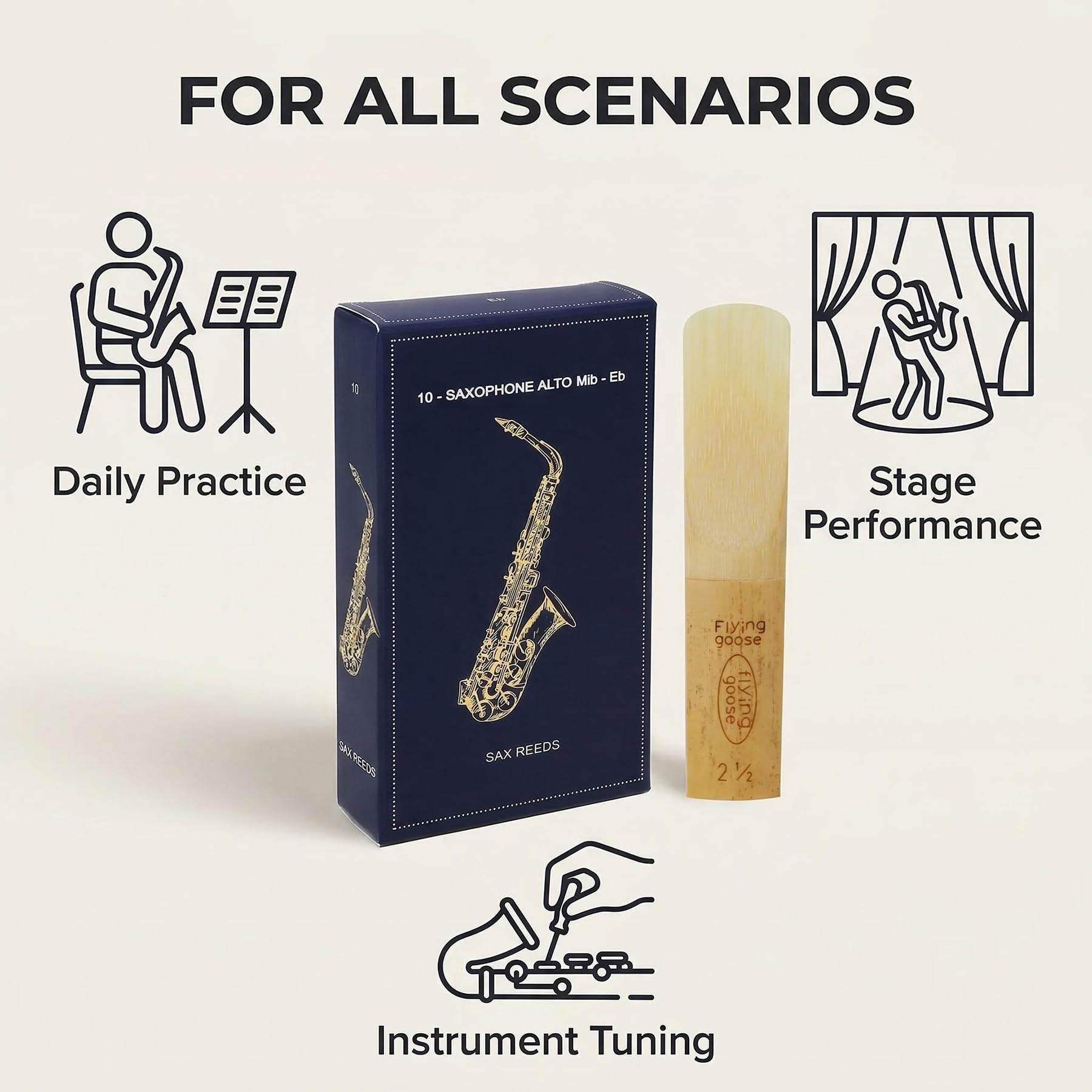 Alto Saxophone Reeds Strength 2.5, 10-Pack - Professional Quality Cane for Students & Beginners, Consistent Sound & Easy to Play, Includes Individual Case (Compatible with Alto Sax)