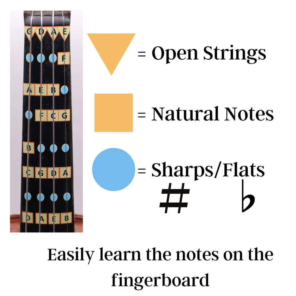 Fantastic Finger Guide for Violins Adult Beginner | Stringed Musical Instruments | Fingerboard and Fretboard Stickers for Learning All Notes | Play or Fiddle, 4/4-Size