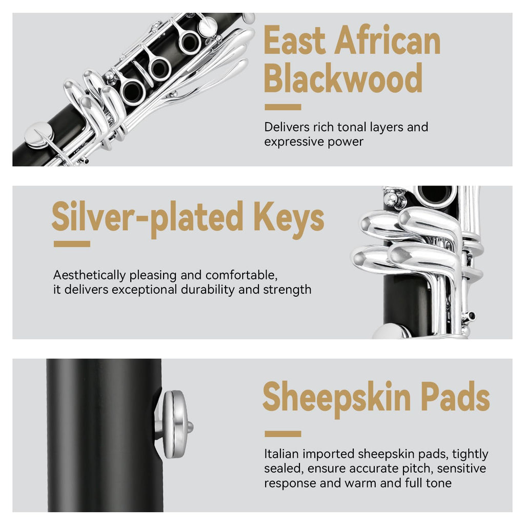 ROWELL 18 Key Bb Clarinet with Eb/Ab Lever & African Blackwood Wood Body Professional Rich Tone for Intermediate Players & Students Includes Case, Mouthpiece, Reeds
