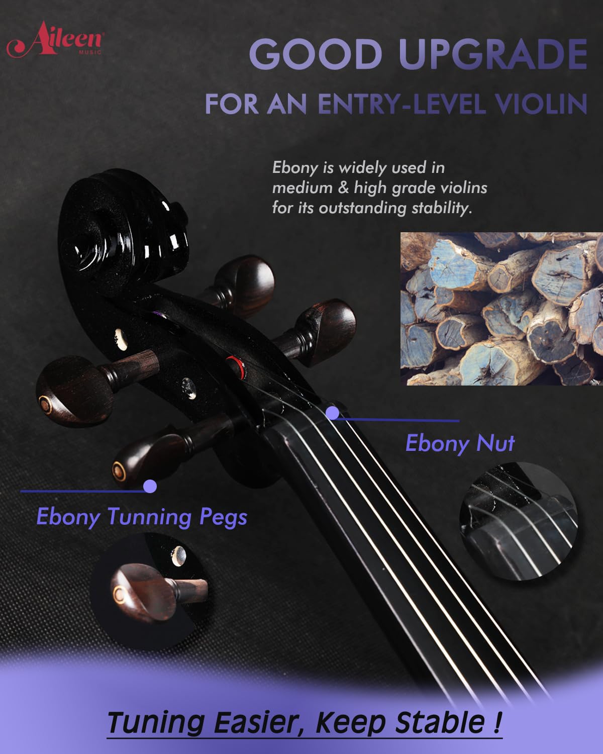 Aileen Violin 4/4 Full Size for Adults Beginners, Black Fiddle Starter Kit for Students Age 12+, including Music Stand, Unique New Fingerboard Sticker, Mute