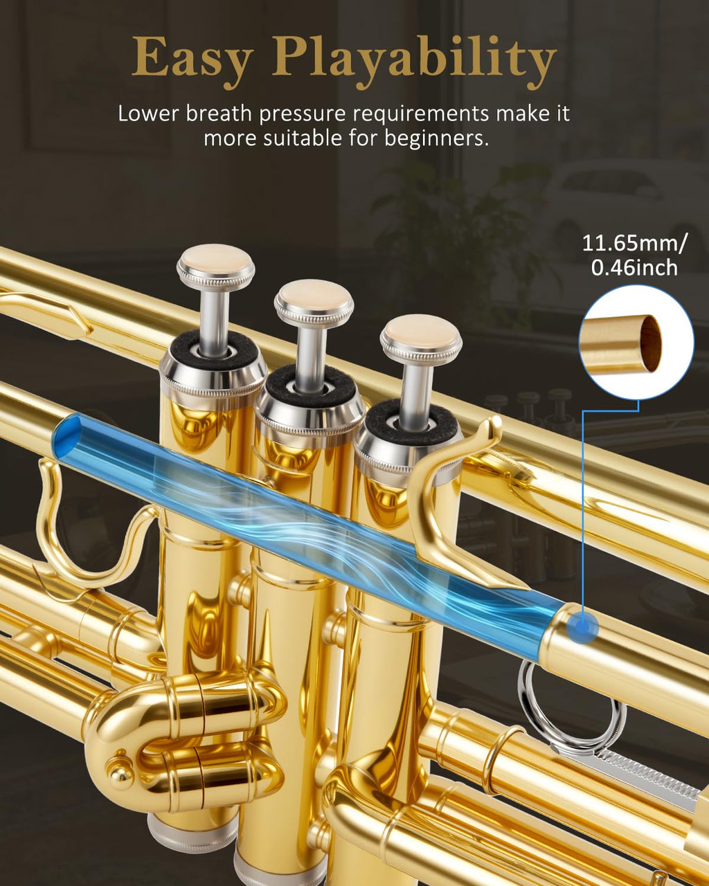 STRICH Bb Standard Trumpet Set for Beginners, Brass Student Trumpet Instrument with Hard Case, Cleaning Kit, 7C & 3C Mouthpieces, Gloves - STR-1G, Gold