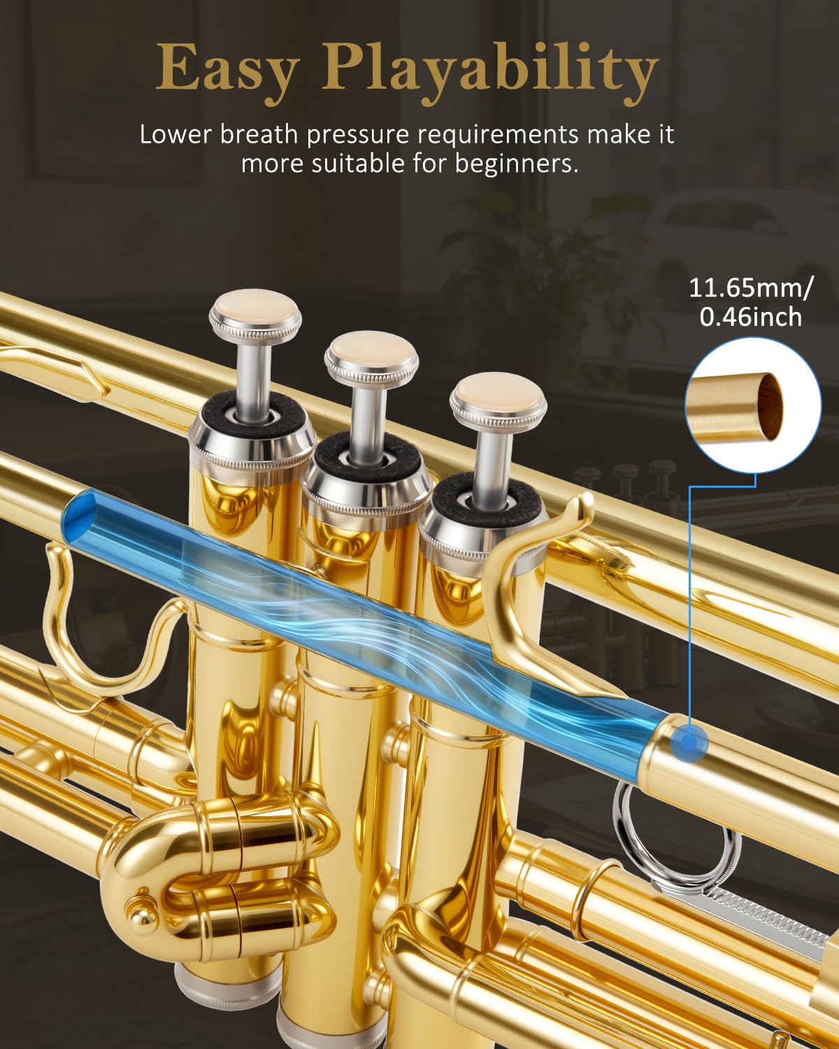 STRICH Bb Standard Trumpet Set for Beginners, Brass Student Trumpet Instrument with Hard Case, Cleaning Kit, 7C & 3C Mouthpieces, Gloves - STR-1G, Gold
