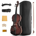 Acoustic Violin 4/4 Full Size, Solid Wood Fiddle for Beginners Adults, Ebony Fitted Satin Antique Finish Violin Starter Kit with Hard Case
