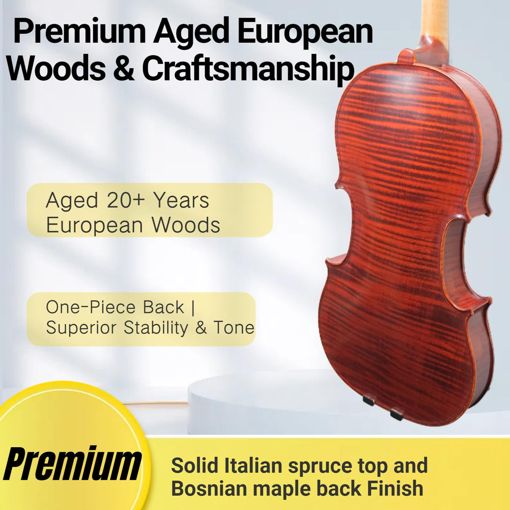 Master 4/4 Full-Size Violin | Hand-Varnished with 20+ Year Aged Italian Spruce & Bosnian Maple | Professional Orchestra Instrument for Professional soloists and session players (VIO1328)