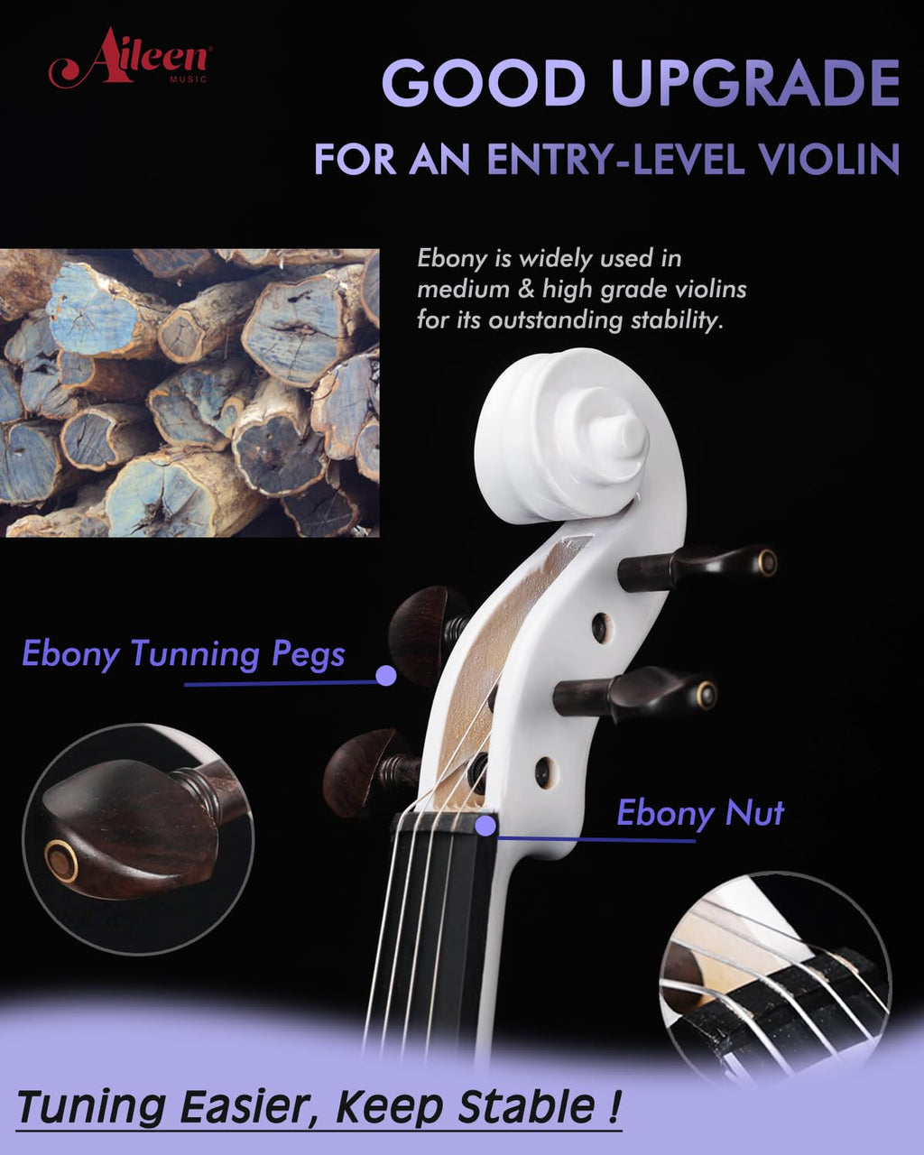 Aileen Violin 4/4 Full Size for Adults Beginners, Black Fiddle Starter Kit for Students Age 12+, including Music Stand, Unique New Fingerboard Sticker, Mute