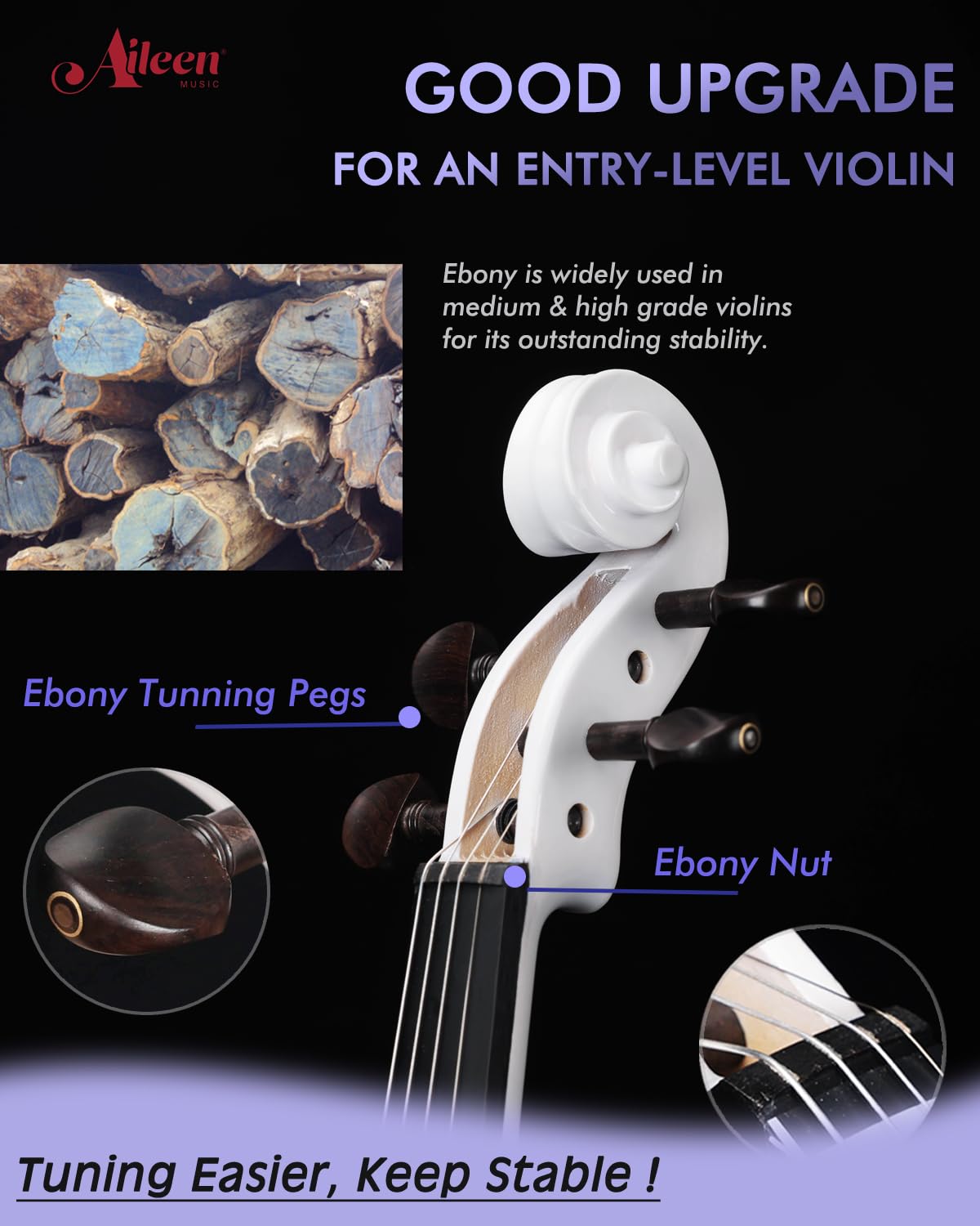 Aileen Violin 4/4 Full Size for Adults Beginners, Black Fiddle Starter Kit for Students Age 12+, including Music Stand, Unique New Fingerboard Sticker, Mute