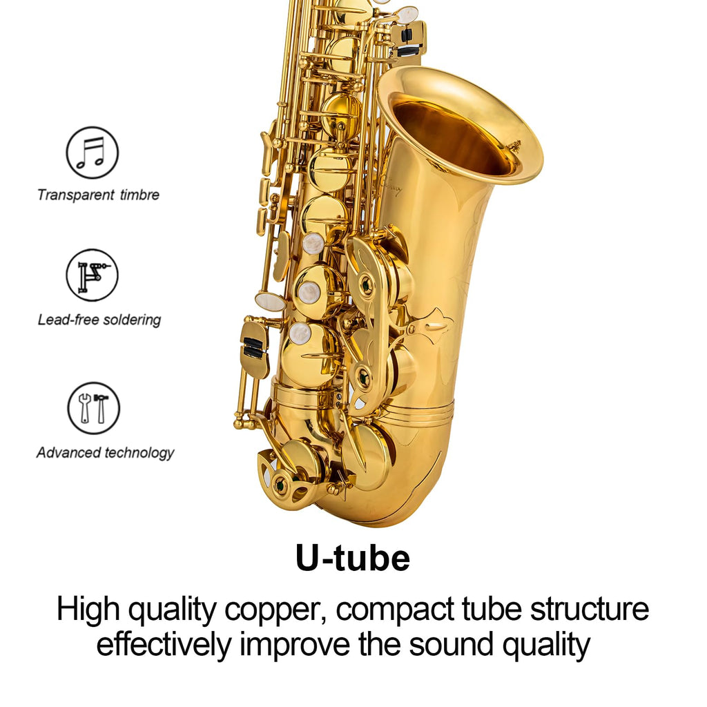Alto Saxophone Eb beginner Saxophone includes brush canvas suitcase glove whistle piece cork plaster wipe cloth neck strap and other accessories (Gold)