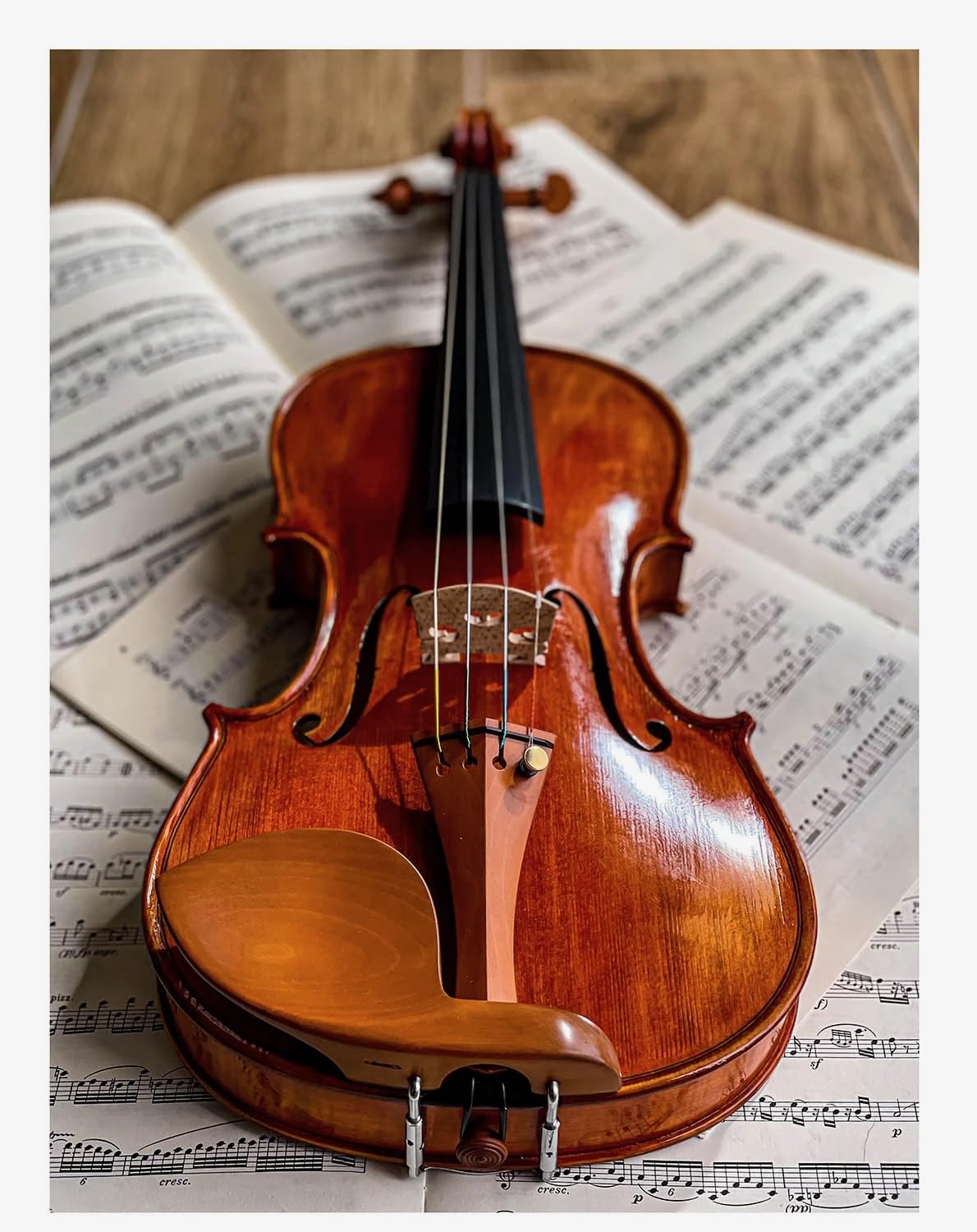 Conrad Götz, ZK-4254, Guarneri Chinrest for Violin 4/4, Rosewood
