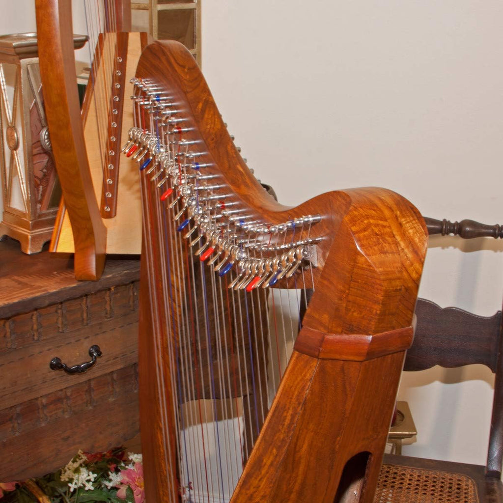 Roosebeck 29-String Mintrel Harp w/Chelby Levers & Pedestal- 5 Panel