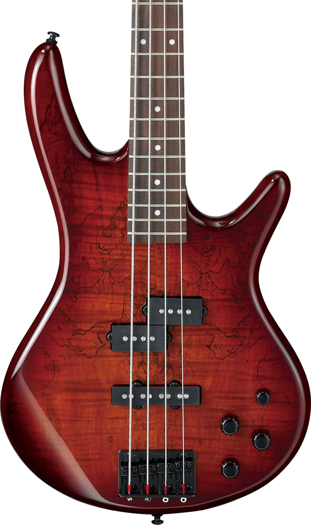 Ibanez GSR205B SR Gio 5-String Bass Guitar - Walnut Flat Bundle with Gig Bag, Tuner, Strap, Cable, Austin Bazaar Instructional DVD, and Polishing Cloth