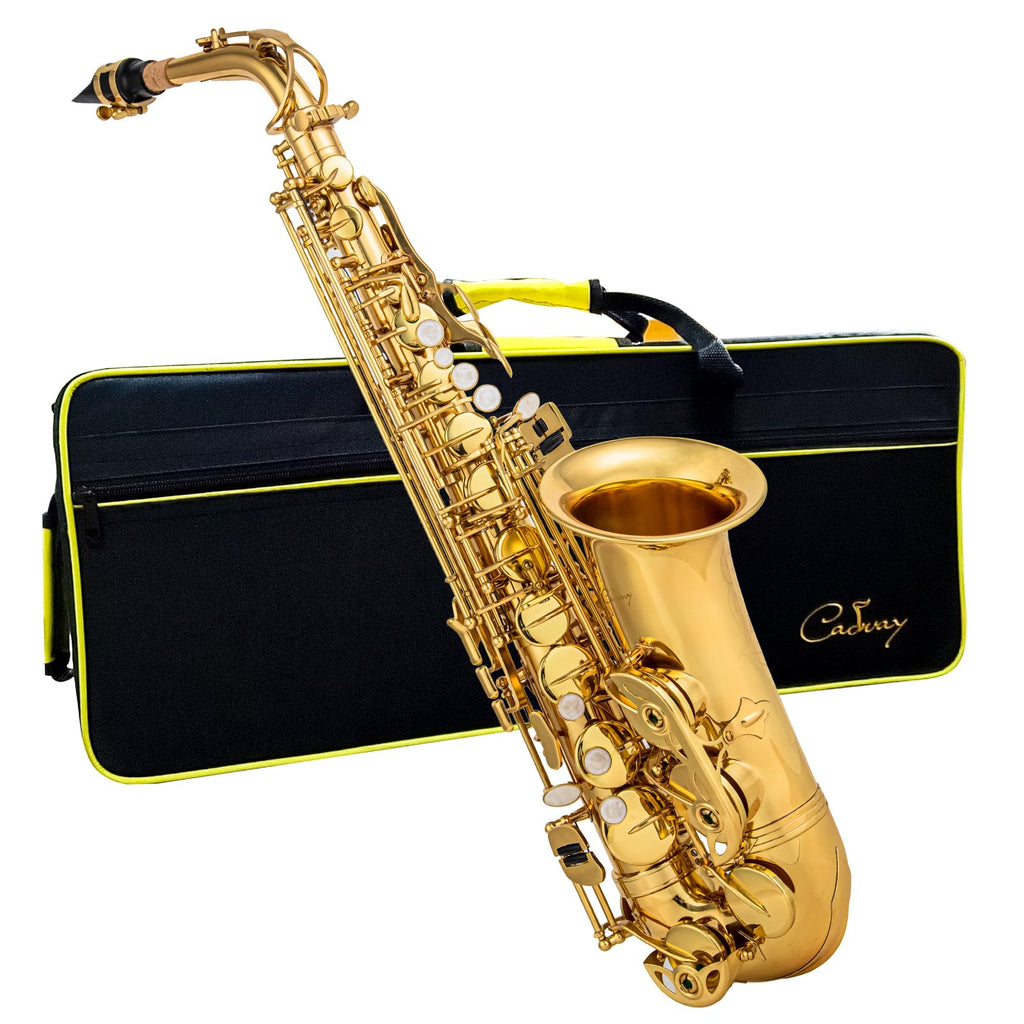 Alto Saxophone Eb beginner Saxophone includes brush canvas suitcase glove whistle piece cork plaster wipe cloth neck strap and other accessories (Gold)