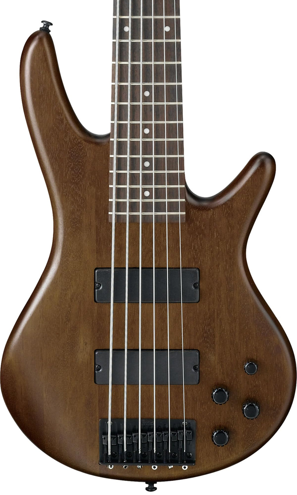 Ibanez GSR205B SR Gio 5-String Bass Guitar - Walnut Flat Bundle with Gig Bag, Tuner, Strap, Cable, Austin Bazaar Instructional DVD, and Polishing Cloth